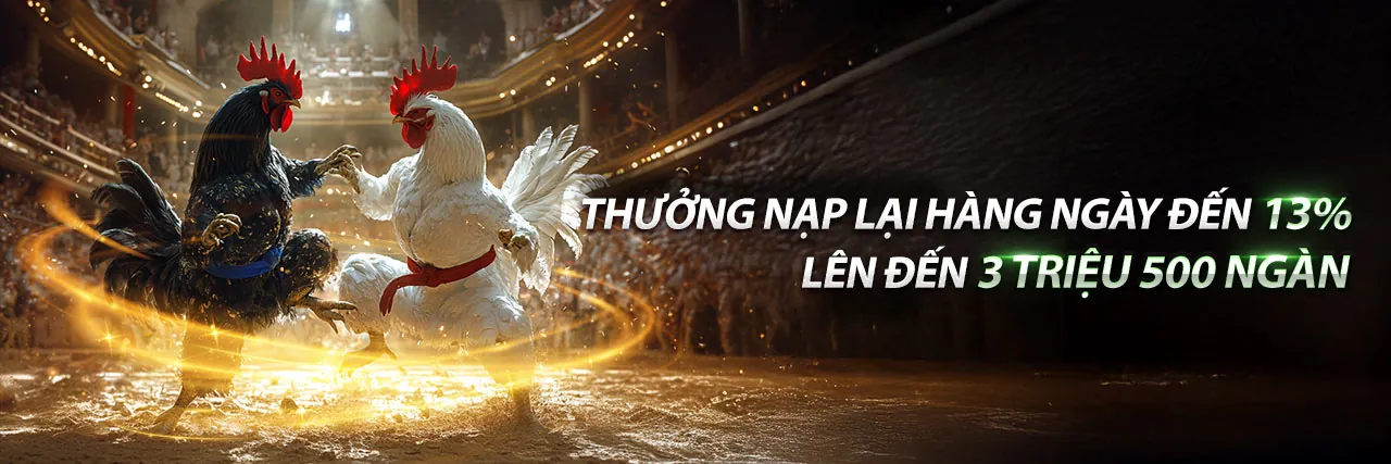 Sân đấu đá gà trực tuyến 999aog